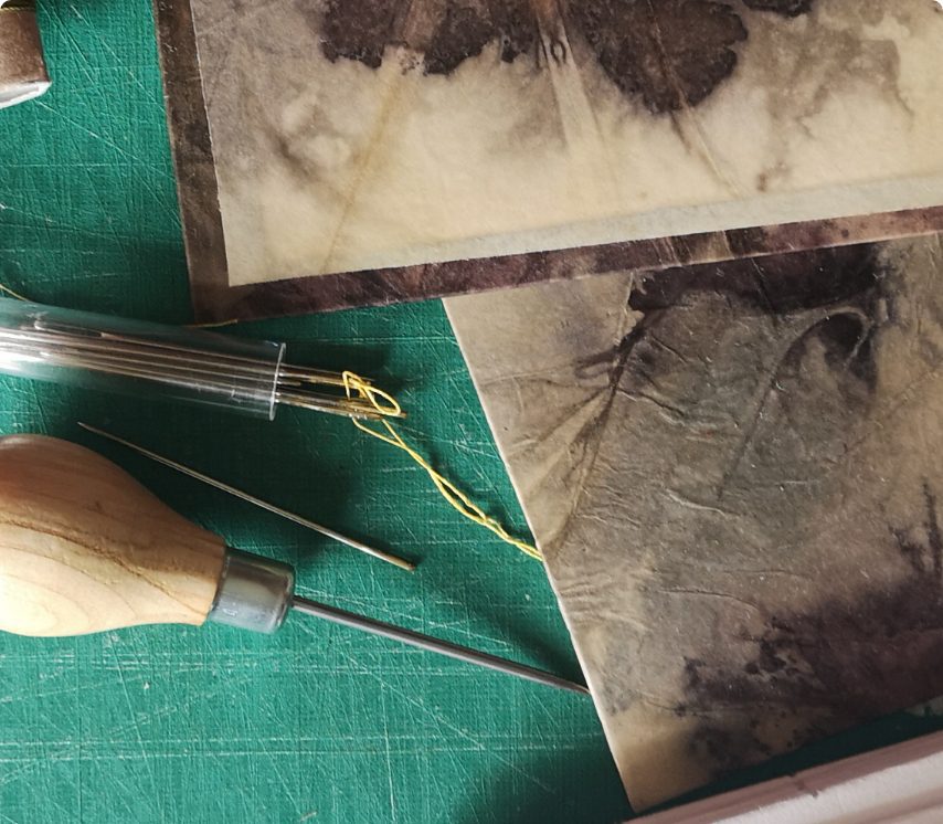 ANgelina Foster binding